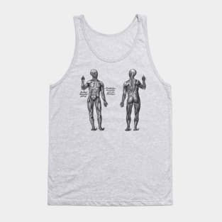 Arm Muscular System - Dual View - German Diagram - Vintage Anatomy Tank Top